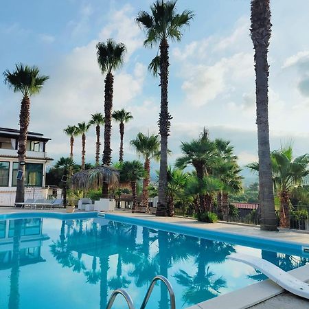 Palm House Panzió Lamezia Terme Kültér fotó